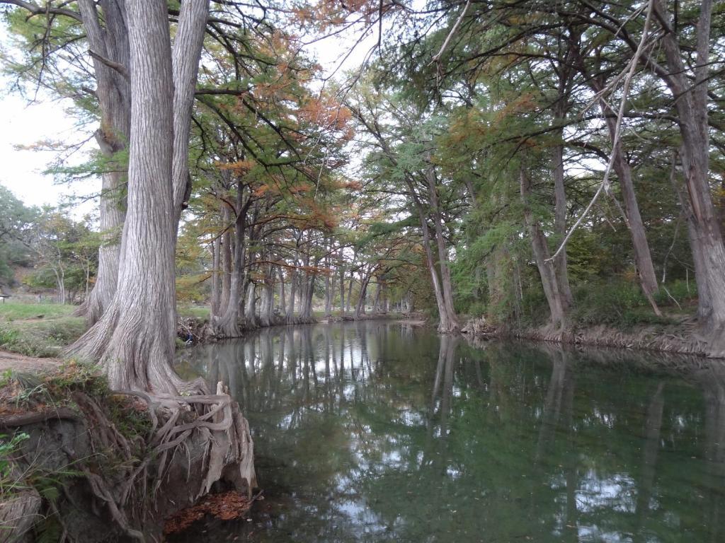 River Oak Inn And Restaurant Bandera Δωμάτιο φωτογραφία